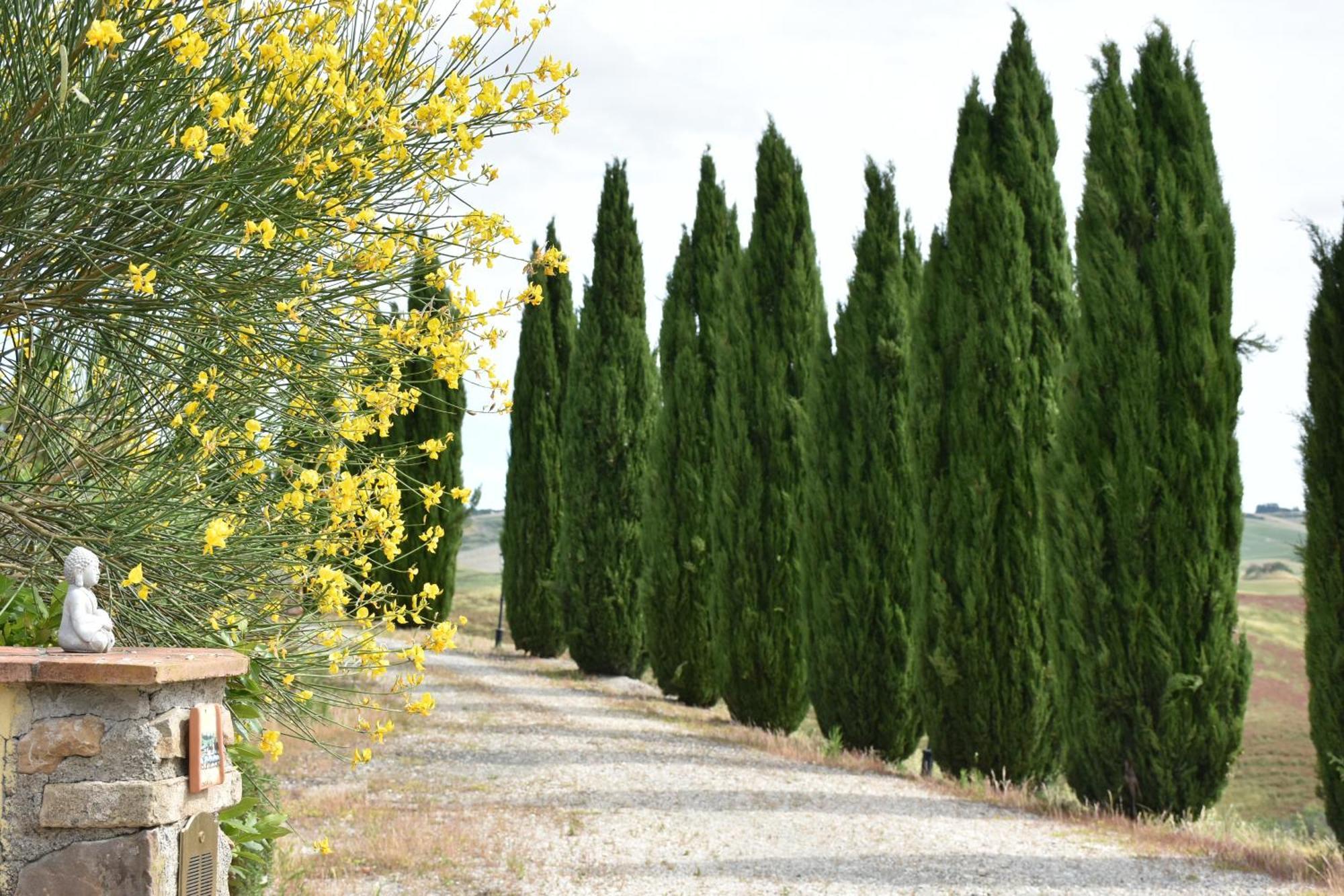Podere Le Volpaie, Volterra, Tuscany 몬테카티니발디세시다 외부 사진